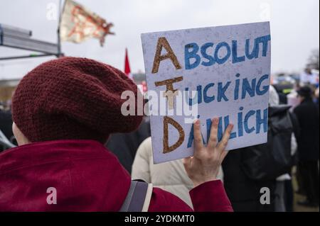 03/02/2024, Berlino, Germania, Europa, Brandmauer-dimostrazione protesta di massa contro la destra e per la tolleranza con 100, 000 partecipanti registrati o Foto Stock