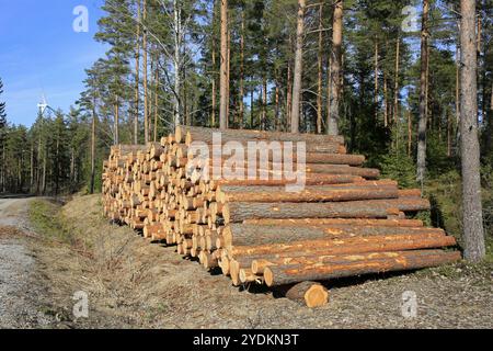 Tronchi di pino impilati sulla strada forestale in attesa del trasporto con una turbina eolica contro il cielo blu sullo sfondo Foto Stock