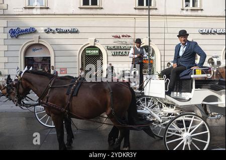 16.06.2019, Vienna, Austria, Europa, i Fiakers aspettano sulle loro carrozze trainate da cavalli di fronte alla Cattedrale di Santo Stefano per mostrare ai turisti la capitale durin Foto Stock