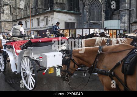 16.06.2019, Vienna, Austria, Europa, i Fiakers aspettano sulle loro carrozze trainate da cavalli di fronte alla Cattedrale di Santo Stefano per mostrare ai turisti la capitale durin Foto Stock