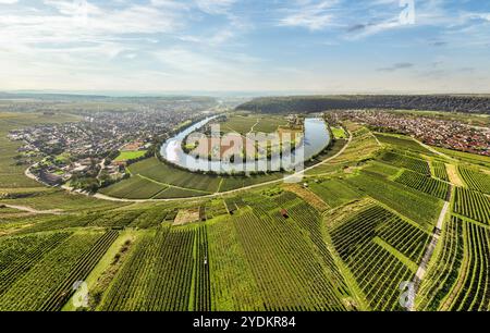 Veduta aerea dell'anello del fiume nella Valle del Neckar con i suoi famosi vigneti ripidi vicino a Mundelsheim e Hessigheim nel Baden-Wuerttemberg , tedesco Foto Stock