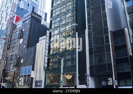 01.01.2018, Tokyo, Giappone, Asia, edifici moderni lungo Chuo-Dori Avenue nel quartiere Ginza della capitale giapponese, Asia Foto Stock