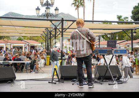 Chitarrista cantante visto da dietro, pubblico dietro, esibirsi sul palco in un evento a Mijas, Spagna. Foto Stock
