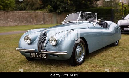 1950 Jaguar XK120 Roadster, in mostra al Salone Privé Concours d'Elégance tenutosi a Blenheim Palace. Foto Stock