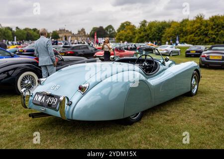 1950 Jaguar XK120 Roadster, in mostra al Salone Privé Concours d'Elégance tenutosi a Blenheim Palace. Foto Stock