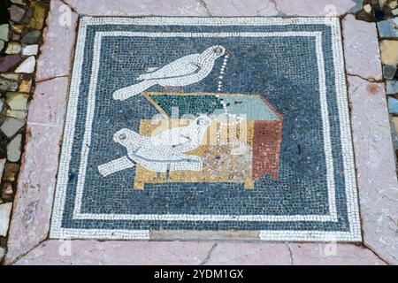 Mosaico del pavimento raffigurante colombe che tirano una collana da una scatola di gioielli. Situato sul lato ovest dell'atrio, Casa del Fauno, Pompei, Italia Foto Stock