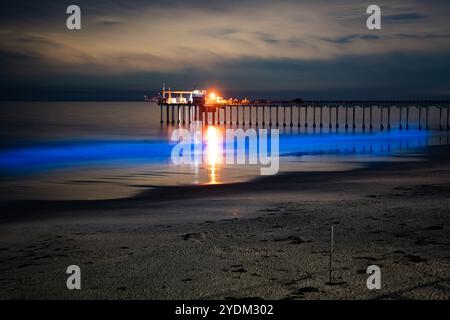 San Diego, Stati Uniti. 27 ottobre 2024. Una vista generale del litorale di la Jolla Scripps durante la bioluminescenza. Il 27 ottobre, a mezzanotte, la Jolla Scripps Shoreline di San Diego si trasforma in uno spettacolo mozzafiato di bioluminescenza, con l'oceano che si illumina di un blu impressionante. Questo incredibile fenomeno naturale ha illuminato le onde, creando una scena magica che mostra gli incantevoli effetti della bioluminescenza nell'ambiente marino. (Foto di Michael ho Wai Lee/SOPA Images/Sipa USA) credito: SIPA USA/Alamy Live News Foto Stock