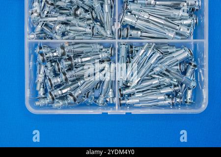 Cassetta organizer in plastica contenente bulloni a ginocchiera in nylon metallico su sfondo blu Foto Stock