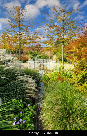 Un'avventura nel Paradise Garden presso l'RHS Garden Bridgewater Gardens, Worsley a Salford, Greater Manchester, Inghilterra, Regno Unito Foto Stock