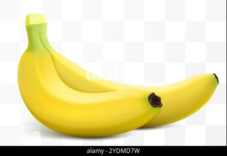 Un mucchio di banane mature. Frutti tropicali esotici, isolati su sfondo trasparente. Frutta fresca di banane non sbucciata per succo biologico o pacchetto dessert. V Illustrazione Vettoriale