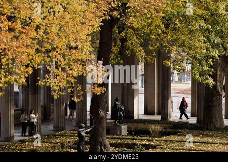 Berlino, Germania. 27 ottobre 2024. Le foglie degli alberi risplendono coloratamente in autunno sull'Isola dei Musei. Credito: Carsten Koall/dpa/Alamy Live News Foto Stock