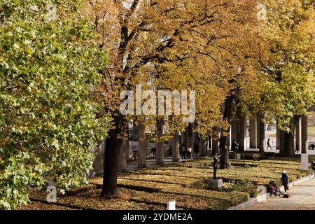 Berlino, Germania. 27 ottobre 2024. Le foglie degli alberi risplendono coloratamente in autunno sull'Isola dei Musei. Credito: Carsten Koall/dpa/Alamy Live News Foto Stock