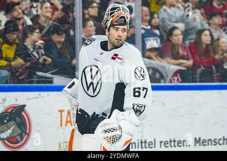 Germania. 27 ottobre 2024. Eishockey Penny-DEL 13.Spieltag Koelner Haie - Grizzlys Wolfsburg AM 27.10.2024 in der Lanxess Arena a Koeln Hannibal Weitzmann ( Wolfsburg ) Gemaess den Vorgaben der DEL Deutsche Eishockey Liga ist die Publikation und Weiterverwertung der Aufnahmen in elektronischen Medien und Endgeraeten aller Art waehrend des laufenden Spinicht. Foto: Revierfoto credito: ddp media GmbH/Alamy Live News Foto Stock