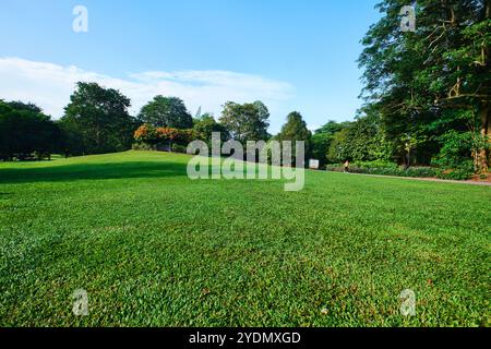 Singapore - 13 agosto 2024: Prato nei Giardini Botanici di Singapore Foto Stock