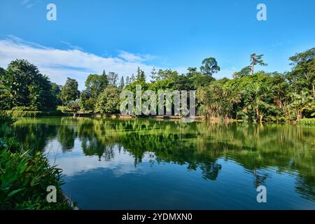 Singapore - 13 agosto 2024: Lago nei Giardini Botanici di Singapore Foto Stock