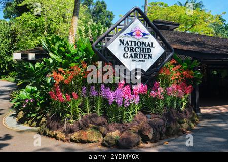 Singapore - 13 agosto 2024: Giardino nazionale delle orchidee Singapore Foto Stock