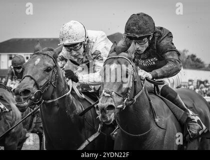 Cover Up vince il Century Racing Club Today handicap per John & Thady Gosden e il fantino William Buick all'ippodromo di Doncaster il 26 ottobre 2024 Foto Stock