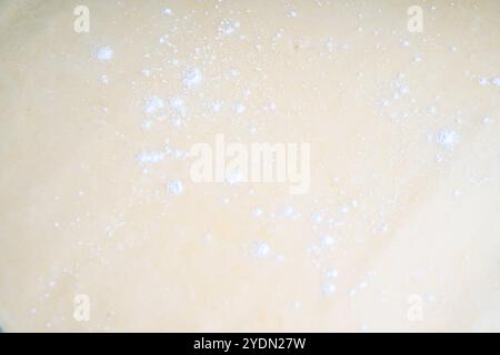 Sfondo: La consistenza dell'impasto con la farina. Impasto arrotolato per la cottura. Foto di alta qualità Foto Stock