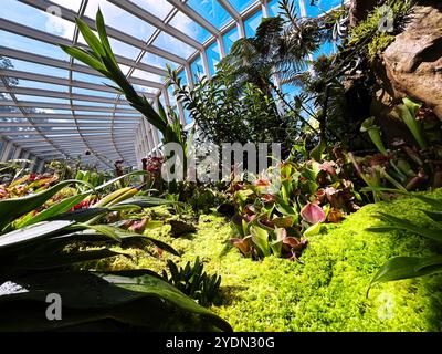 Singapore - 13 agosto 2024: La Sembcorp Cool House presso il National Orchid Garden Foto Stock