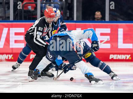 Linesperson David Tschirner fuehrt ein bully aus zwischen Austen Keating (ERC Ingolstadt Panther, #89) und Patrick Hager (EHC Red Bull Muenchen, #52). GER, EHC Red Bull Muenchen contro ERC Ingolstadt Panther, Eishockey, DEL, 13. Spieltag, Saison 2024/2025, 27.10.2024. Foto: Eibner-Pressefoto/Franz Feiner Foto Stock