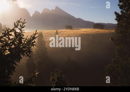 Prato alpino idilliaco durante un'alba mite, suggestiva e nebbiosa nell'Alpe di Siusi con capanne rustiche e viste panoramiche sulle montagne dolomitiche Foto Stock