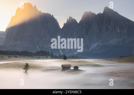 Prato alpino idilliaco durante un'alba mite, suggestiva e nebbiosa nell'Alpe di Siusi con capanne rustiche e viste panoramiche sulle montagne dolomitiche Foto Stock