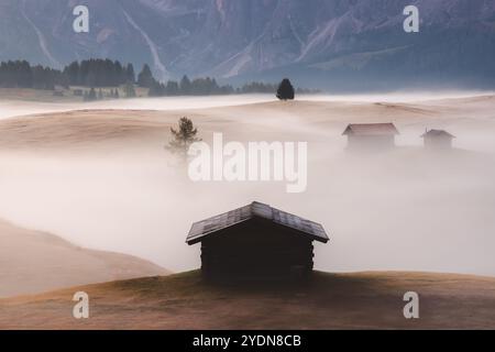 Prato alpino idilliaco durante un'alba mite, suggestiva e nebbiosa nell'Alpe di Siusi con capanne rustiche e viste panoramiche sulle montagne dolomitiche Foto Stock