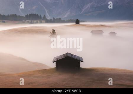 Prato alpino idilliaco durante un'alba mite, suggestiva e nebbiosa nell'Alpe di Siusi con capanne rustiche e viste panoramiche sulle montagne dolomitiche Foto Stock