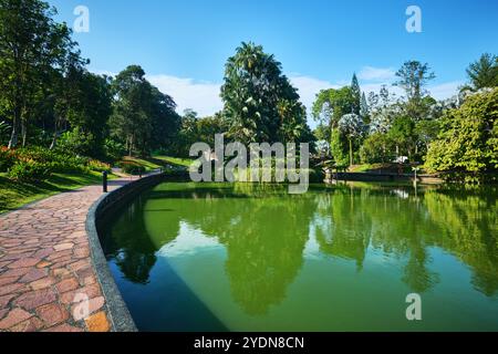 Singapore - 13 agosto 2024: Lago nei Giardini Botanici di Singapore Foto Stock