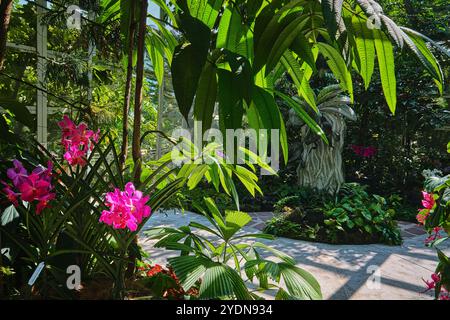 Singapore - 13 agosto 2024: Specie di fiori di orchidee nel National Orchid Garden Singapore Foto Stock