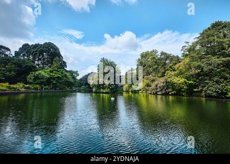 Singapore - 13 agosto 2024: Lago nei Giardini Botanici di Singapore Foto Stock