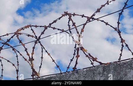 Vecchio filo spinato teso in anelli su una recinzione di cemento Foto Stock