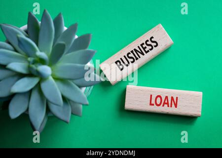 Simbolo del prestito aziendale. Parole concettuali prestito commerciale su blocchi di legno. Splendido sfondo verde con piante succulente. Concep. Prestiti aziendali e commerciali Foto Stock