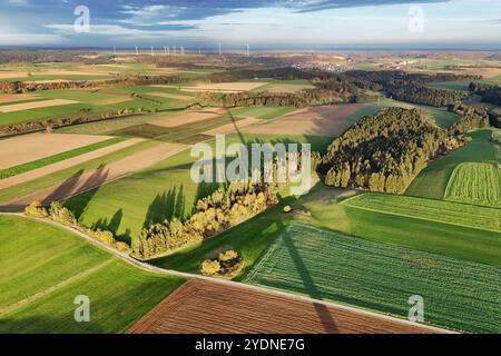Schatten vo Windkraftraeder auf der Schwaebischen Alb bei Boehmenkirch. Windpark, Windrad, Windkraft, Windkraftrad. Ausbau der Windkraft. *** Ombra di turbine eoliche sulla Svevia vicino a Boehmenkirch Parco eolico, turbina eolica, energia eolica, espansione di turbine eoliche di energia eolica Foto Stock