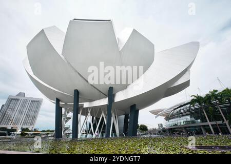 Singapore - 14 agosto 2024: Architettura futuristica design a forma di loto del museo Art Science situato di fronte a Marina Bay Sands Foto Stock