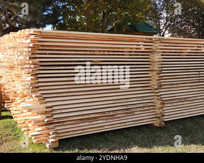 Tavole di legno impilate l'una sull'altra giacciono sull'erba sullo sfondo di conifere e alberi decidui, merci in forma di costruzione Foto Stock