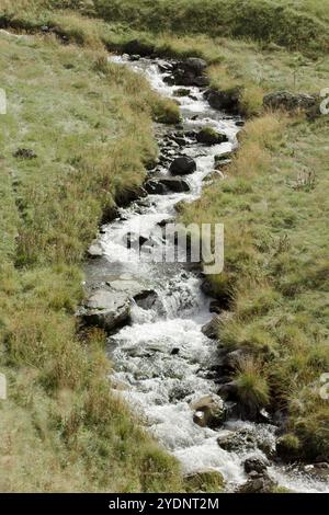 un flusso limpido e veloce che si snoda attraverso un paesaggio erboso e naturale. L'acqua cade sulle rocce, creando ondulazioni e schizzi delicati Foto Stock