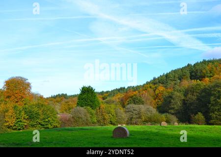 Campagna intorno ai prati d'acqua del fiume Darent, Hosey Common, Kent, in ottobre. Cielo limpido con sentieri di vapore, corrimano e splendidi alberi Foto Stock