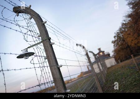 Weimar, Germania. 26 ottobre 2024. Filo spinato e recinzione visti all'ingresso principale dell'ex campo di concentramento di Buchenwald. Migliaia di ebrei e altri prigionieri sono morti in condizioni terribili al campo di Buchenwald durante la seconda guerra mondiale (Credit Image: © Vasily Krestyaninov/SOPA Images via ZUMA Press Wire) SOLO USO EDITORIALE! Non per USO commerciale! Foto Stock