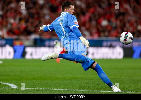 Portogallo. 27 ottobre 2024. Portiere nebbia di Rio Ave durante la partita Betclic della Liga Portugal tra SL Benfica e Rio Ave FC all'Estadio da Luz il 27 ottobre 2024 a Lisbona, Portogallo. Liga Portugal Betclic - SL Benfica vs Rio Ave FC (Valter Gouveia/SPP) credito: SPP Sport Press Photo. /Alamy Live News Foto Stock