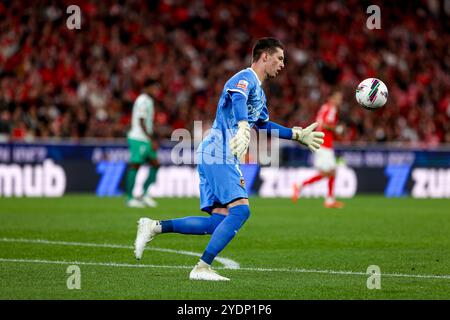 Portogallo. 27 ottobre 2024. Portiere nebbia di Rio Ave durante la partita Betclic della Liga Portugal tra SL Benfica e Rio Ave FC all'Estadio da Luz il 27 ottobre 2024 a Lisbona, Portogallo. Liga Portugal Betclic - SL Benfica vs Rio Ave FC (Valter Gouveia/SPP) credito: SPP Sport Press Photo. /Alamy Live News Foto Stock