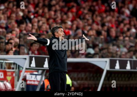 Portogallo. 27 ottobre 2024. Bruno Lage capo della SL Benfica durante la Liga Portugal Betclic match tra SL Benfica e Rio Ave FC all'Estadio da Luz il 27 ottobre 2024 a Lisbona, Portogallo. Liga Portugal Betclic - SL Benfica vs Rio Ave FC (Valter Gouveia/SPP) credito: SPP Sport Press Photo. /Alamy Live News Foto Stock