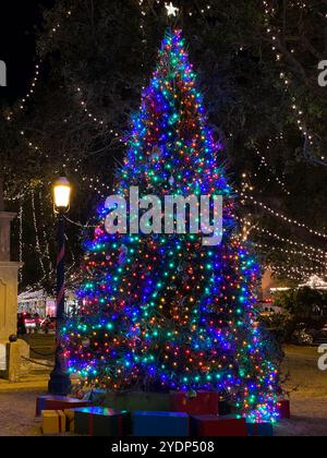 Albero di Natale illuminato in Plaza de la Constitución durante la festa delle notti delle luci a St. Augustine, Florida, Stati Uniti Foto Stock