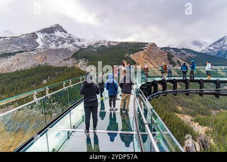 Columbia Icefield Skywalk ad Alberta, Canada Foto Stock