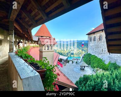 La foto raffigura un castello medievale sloveno che mostra i suoi dettagli architettonici. Foto Stock