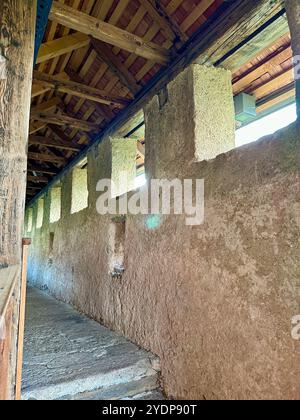 La foto raffigura un castello medievale sloveno che mostra i suoi dettagli architettonici. Foto Stock