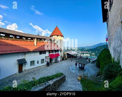 La foto raffigura un castello medievale sloveno che mostra i suoi dettagli architettonici. Foto Stock