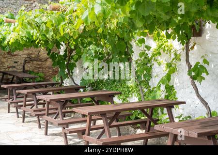 Panche in legno sotto viti con pareti bianche nel cortile soleggiato Foto Stock