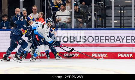 Monaco, Germania. 27 ottobre 2024. Veit Oswald (EHC Red Bull Muenchen, #27) und Patrick Hager (EHC Red Bull Muenchen, #52) sowie Morgan Ellis (ERC Ingolstadt Panther, #4) und Myles Powell (ERC Ingolstadt Panther, #9) auf der Jagd nach dem Puck. GER, EHC Red Bull Muenchen contro ERC Ingolstadt Panther, Eishockey, DEL, 13. Spieltag, Saison 2024/2025, 27.10.2024. Foto: Eibner-Pressefoto/Franz Feiner credito: dpa/Alamy Live News Foto Stock