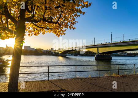 Die Kennedybrücke, mittlere der 3 Bonner Rheinbrücken, verbindet das Zentrum von Bonn und den Stadtteil Beuel, Bundesstraße B56, Stadtbahnlinien und Geh- und Radwege, Bonn NRW, Deutschland Kennedybrücke Foto Stock